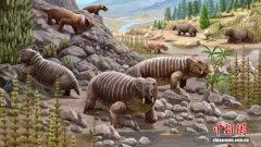 中国发现两亿多年前二齿兽新